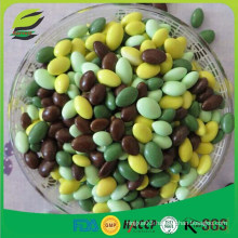 chocolate coated pumpkin seeds candy